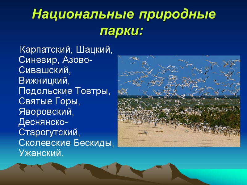 Национальные природные парки:       Карпатский, Шацкий, Синевир, Азово-Сивашский, Вижницкий,
